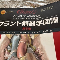 解剖学図譜の画像