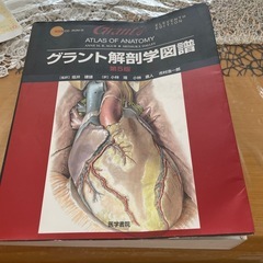 解剖学図譜