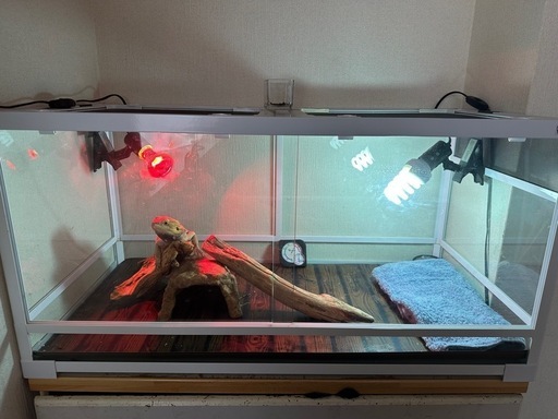 爬虫類ケージ　パンテオン　ホワイト90×45