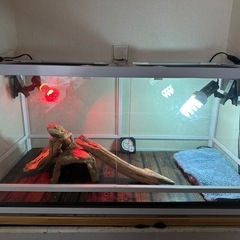 　爬虫類ケージ　パンテオン　ホワイト90×45　