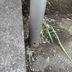 階段　手すり　介護の画像