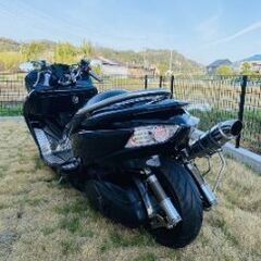 ホンダ　フォルツア250 MF10　千葉松戸〜の画像