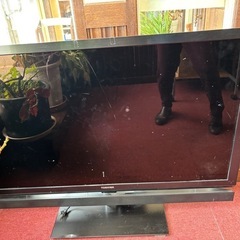 東芝REGZA