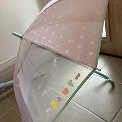 小学生　女子　雨傘　日傘　　　の画像