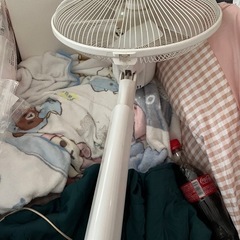 これから大活躍‼️扇風機