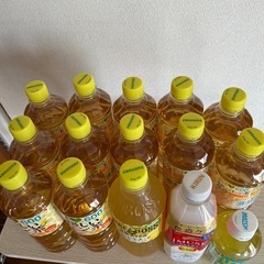 GREEN DA CA RA 600ml 12本 の画像