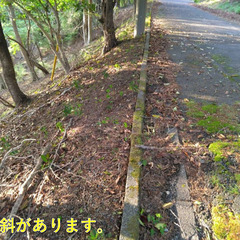 №E647【静岡県河津町川津筏場】別荘地（山林・原野）1筆あげます！ - 土地販売/土地売買