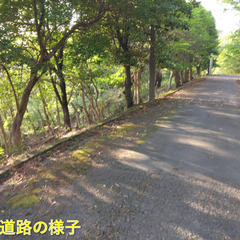 №E647【静岡県河津町川津筏場】別荘地（山林・原野）1筆あげます！ - 賀茂郡