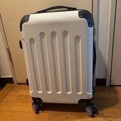キャリーケース　機内持ち込みサイズ　白
