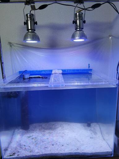 ボルクスジャパン Grassy LeDio RX122 Reef 水槽 ライト 照明