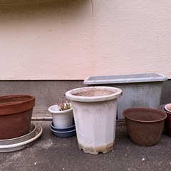 植木鉢差し上げます！