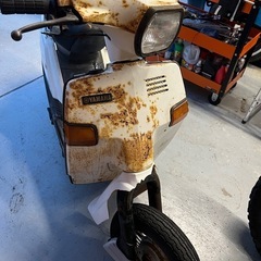 ベルーガ80
