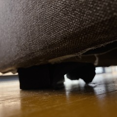 2人掛け ベージュ グレー ソファー 無料 0円 譲りますの画像
