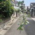 ランキングキーワードに紐づく投稿画像-観葉植物