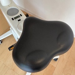 FLEXISPOT フレキシスポット フィットネスバイク デスクバイクの画像