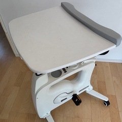 FLEXISPOT フレキシスポット フィットネスバイク デスクバイクの画像