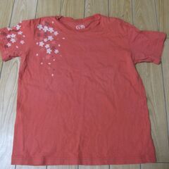 金魚　Tシャツ