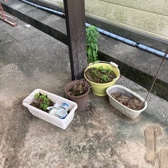 植木鉢ホースブロックなど0円