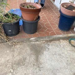 植木鉢ホースブロックなど0円の画像