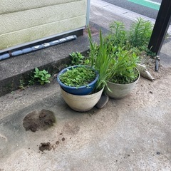 植木鉢ホースブロックなど0円の画像