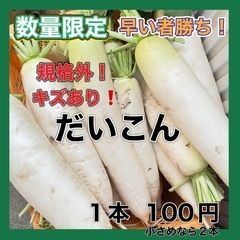 早い者勝ち！大根 100円 訳あり 規格外 キズあり品 アスパラ...