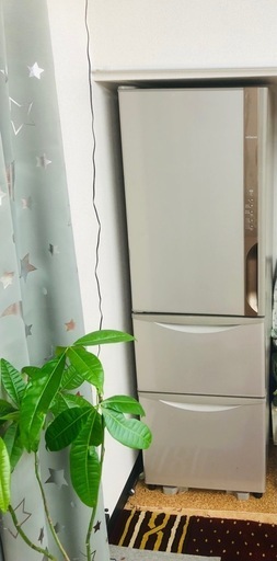 Refrigerator | Fridge |   冷蔵庫