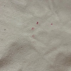 防水シーツシングルサイズ２枚セットの画像