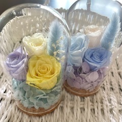 　ガラスドームの画像