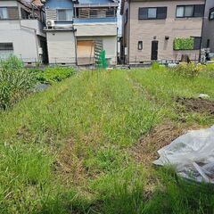 野菜の栽培