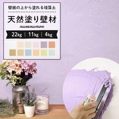 DIY 塗装　ひとりで塗れるもん　佐官セット