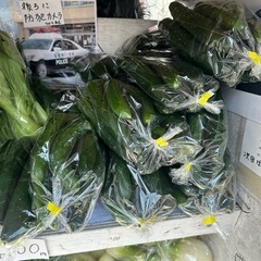 無人販売、新鮮野菜