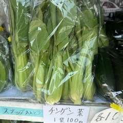 無人販売、新鮮野菜 - その他