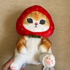 mofusand ねこ いちご