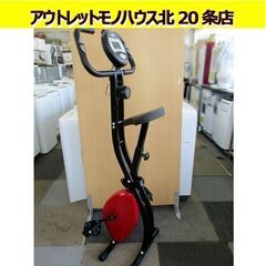 リオレス フィットネスバイク エックス2 ルームバイク  マグネ...
