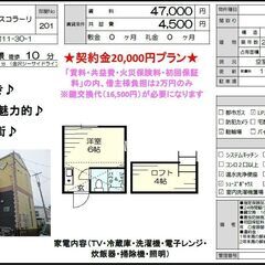 🎏初期費用2万円のみ🎏契約月家賃無料‼️さらに、仲介手数料…