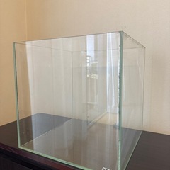 ADA30センチキューブ水槽