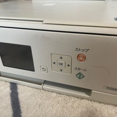 canon PIXUS TS5030