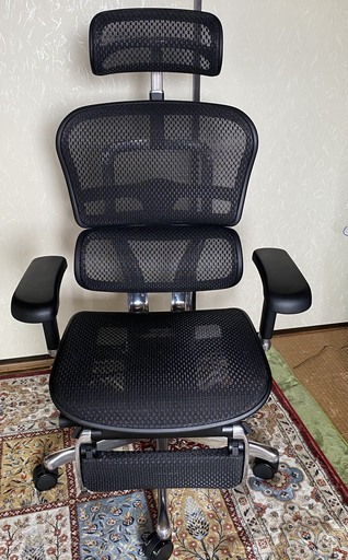 エルゴヒューマン　品名はEHP2-LPL-BF-BK 　購入３ヶ月経過　ほぼ新品