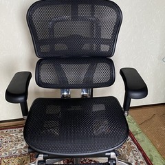エルゴヒューマン　品名はEHP2-LPL-BF-BK 　購入３ヶ...