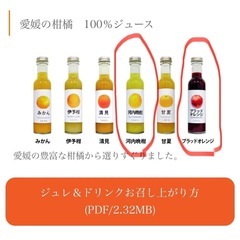 値下げ！愛媛の柑橘　100%ジュースの画像