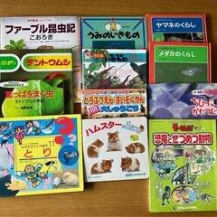 いきもの　絵本　1冊100円〜　2冊目以降割引あり