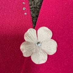 飾り襟
の画像