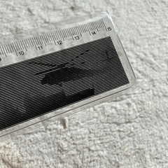 ☆海上自衛隊　絵が浮かび上がる　定規の画像
