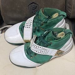 NIKE レブロン　29cm