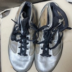 NIKE ハイパーダンク　27.5cmの画像