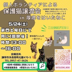 5月★長崎の個人ボランティアによる保護猫譲渡会