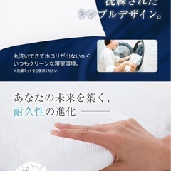 パイプビーズ枕　43×63の画像