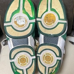 NIKE レブロン　29cmの画像