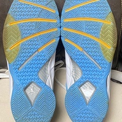 NIKE カーメロ　28.5cmの画像