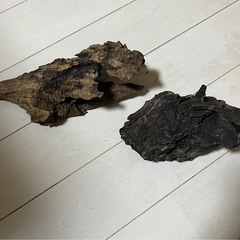 流木2つセット